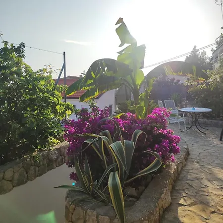 Apartment Mihael Čelina